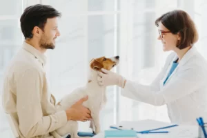 De hond trainen om mee te gaan hardlopen dierenarts