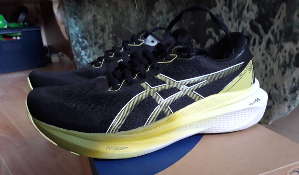 Asics Gel Kayano 30 1