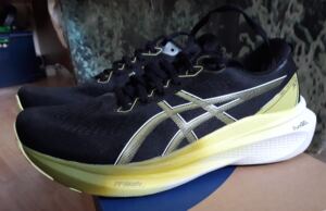Asics Gel Kayano 30