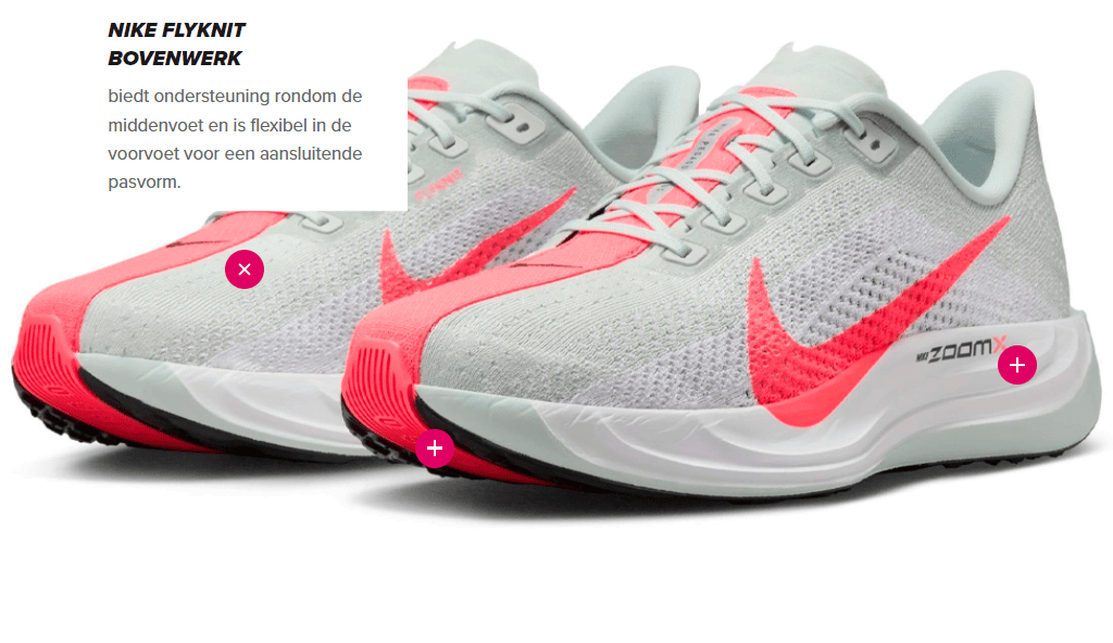 Nike Pegasus Plus