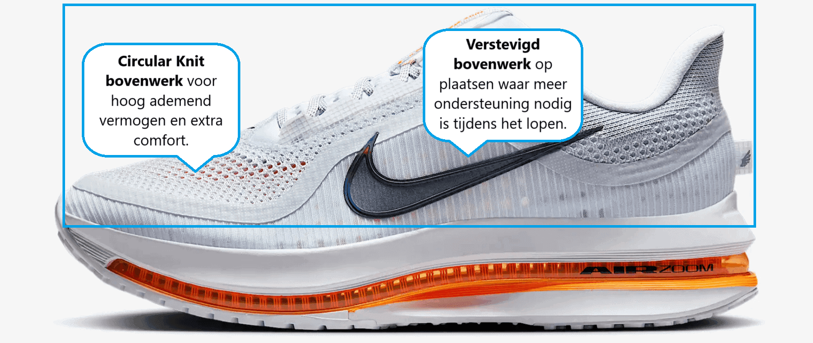 Nike Pegasus Premium