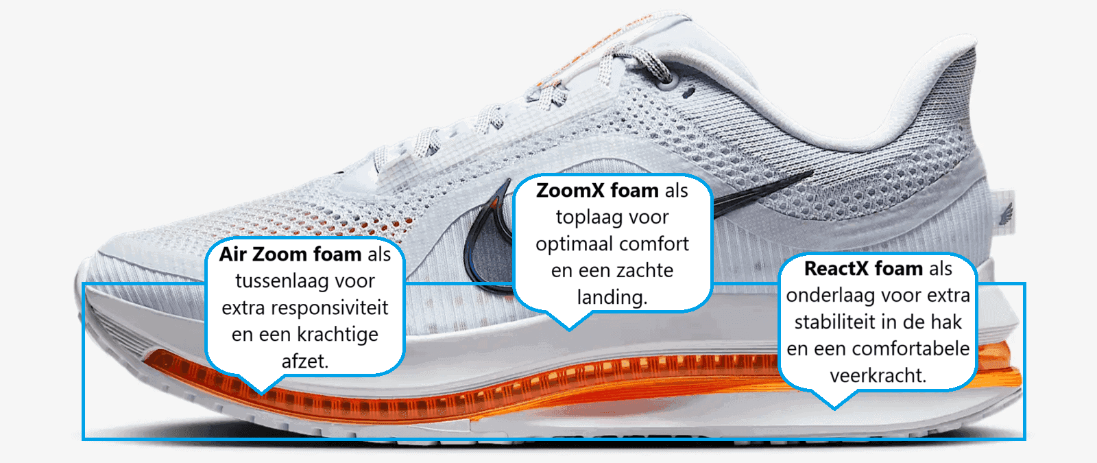 Nike Pegasus Premium