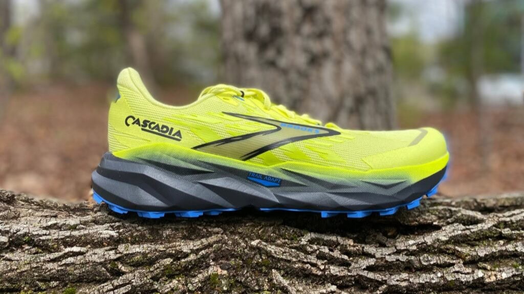 Brooks Cascadia 19