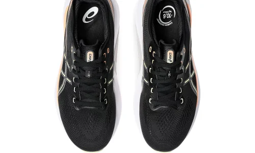 Asics Gel Kayano 31