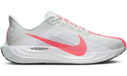 Nike Pegasus Plus
