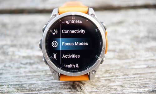 Garmin Fenix 8