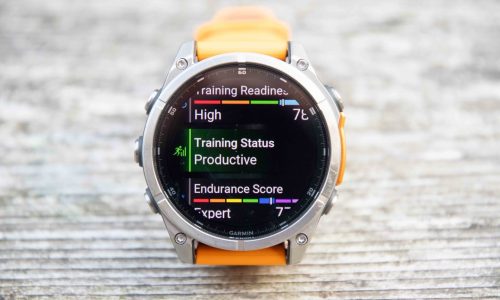 Garmin Fenix 8