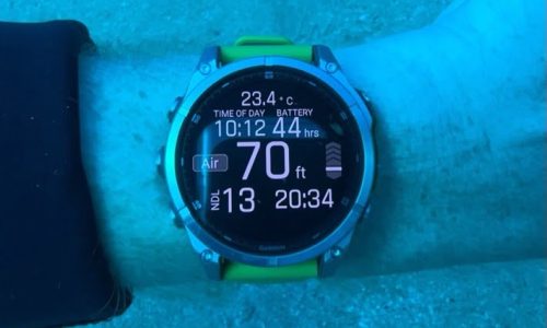 Garmin Fenix 8