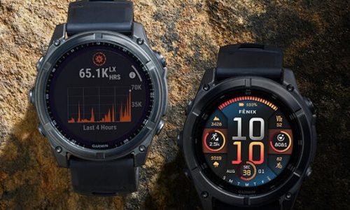 fenix_595x340_1