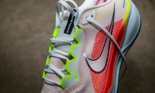 Nike Pegasus 41