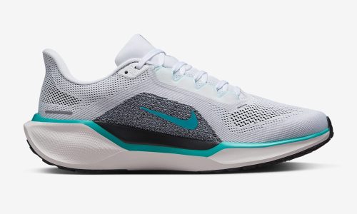 Nike Pegasus 41