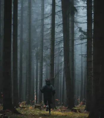 Voordelen van hardlopen in het bos