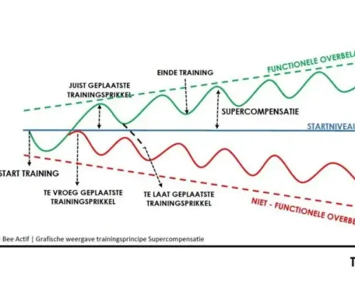 Trainingsprincipes supercompensatie