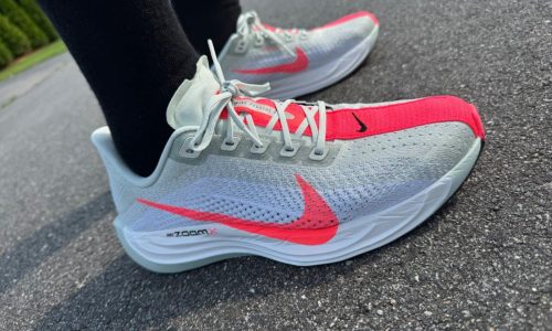 Nike Pegasus Plus