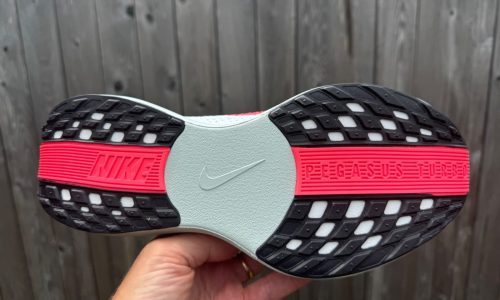 Nike Pegasus Plus