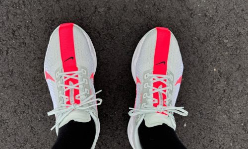 Nike Pegasus Plus
