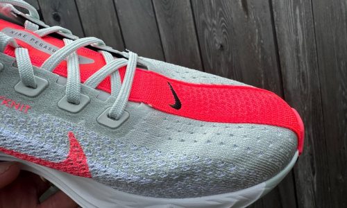 Nike Pegasus Plus