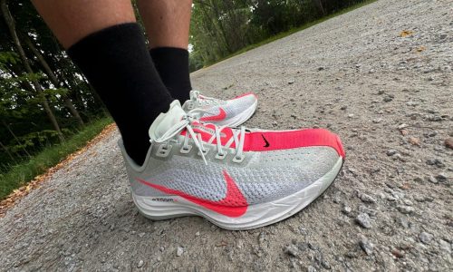 Nike Pegasus Plus